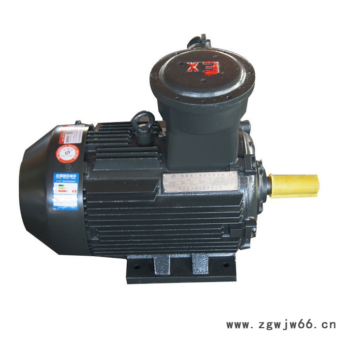 金力特YB200L-4隔爆型三相异步电动机图7