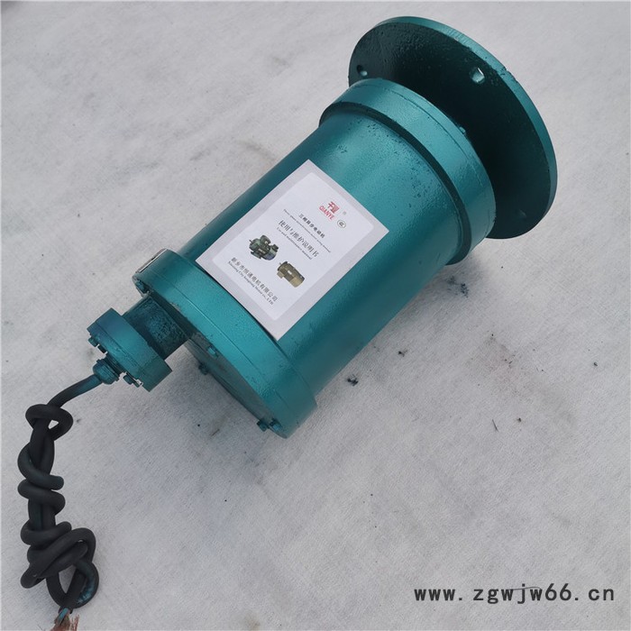 千业牌 潜水电机 水下用电机 潜水电动机厂家 质量可靠图4