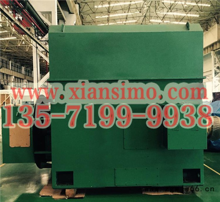 YRKK4504-6 315KW 10KV西玛牌高压电动机图3