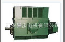 Y6304-8 1400KW西安电机高压电动机图2