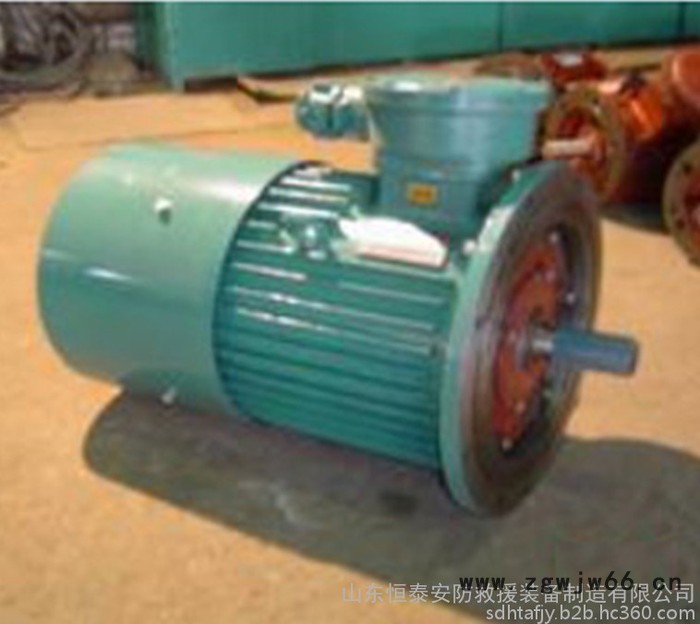 YB2(YB)系列隔爆型三相异步电动机图2