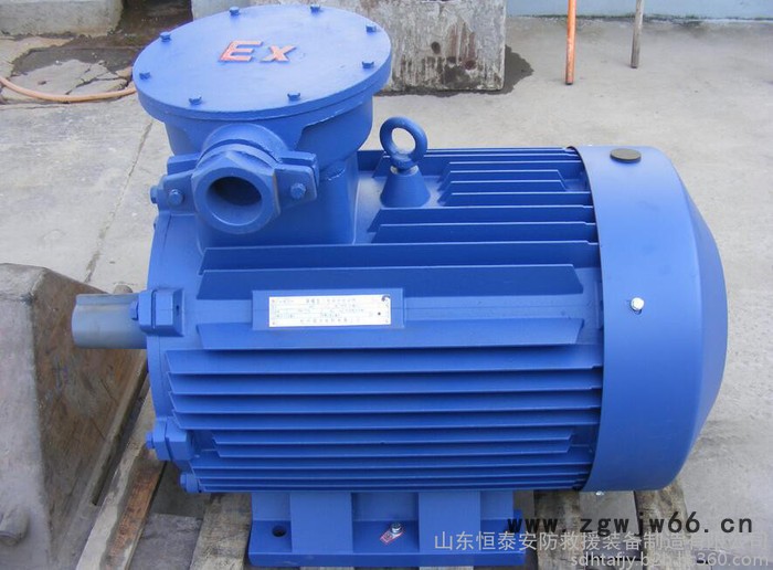 YB2(YB)系列隔爆型三相异步电动机图5