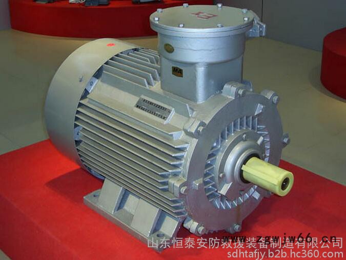 YB2(YB)系列隔爆型三相异步电动机图3