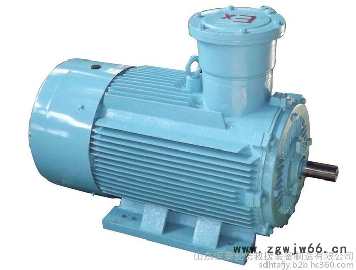 YB2(YB)系列隔爆型三相异步电动机图4