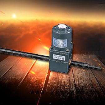 佳雪微特 6(80YYJZ25W系列直线往复电动机) 6(80YYJZ25W系列直线往复电动机