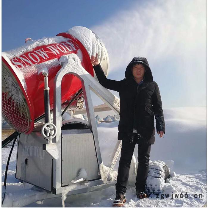 口径大喷嘴多的滑雪场人工造雪机图6