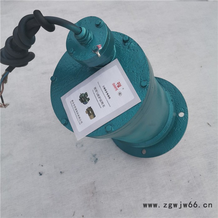 千业牌 潜水电机 水下用电机 潜水电动机 **供应图5