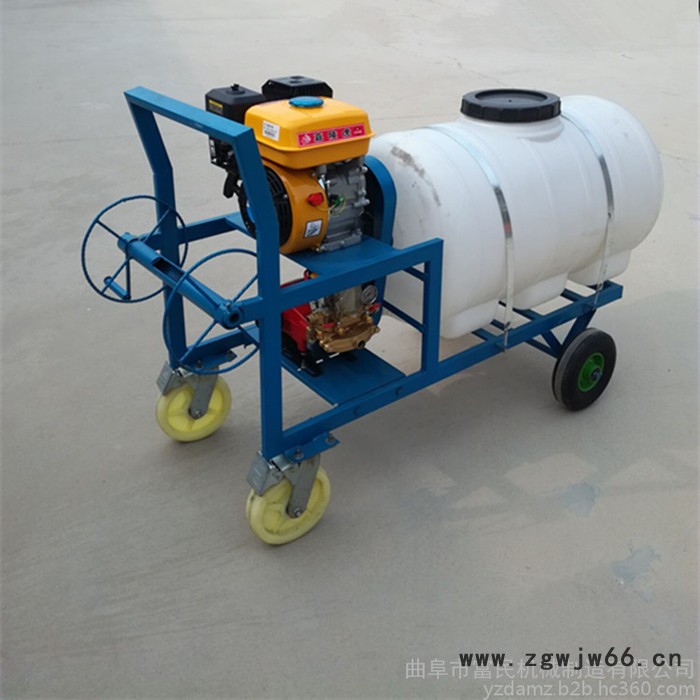 多喷嘴喷头菜地打药机 汽油喷药机 农用电动喷雾器图5