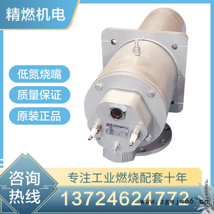 原装节能低氮烧嘴燃烧器环形630KW天燃气液化气燃烧系统喷嘴喷枪图4