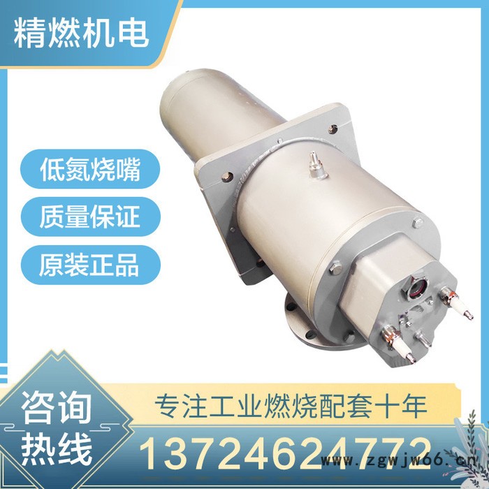 原装节能低氮烧嘴燃烧器环形630KW天燃气液化气燃烧系统喷嘴喷枪图3