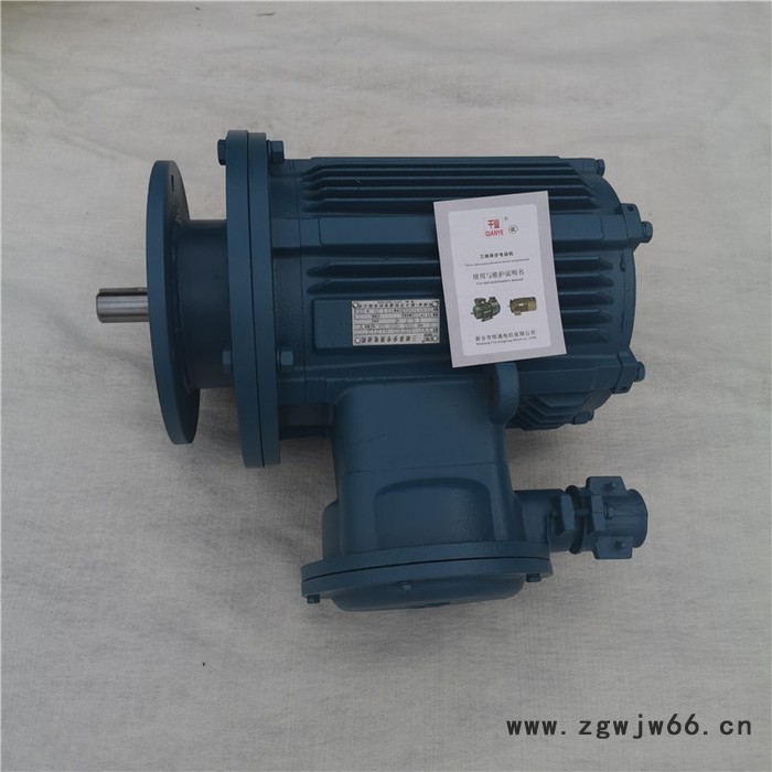 千业牌 潜水电机 水下用电机 污水域用电动机图3