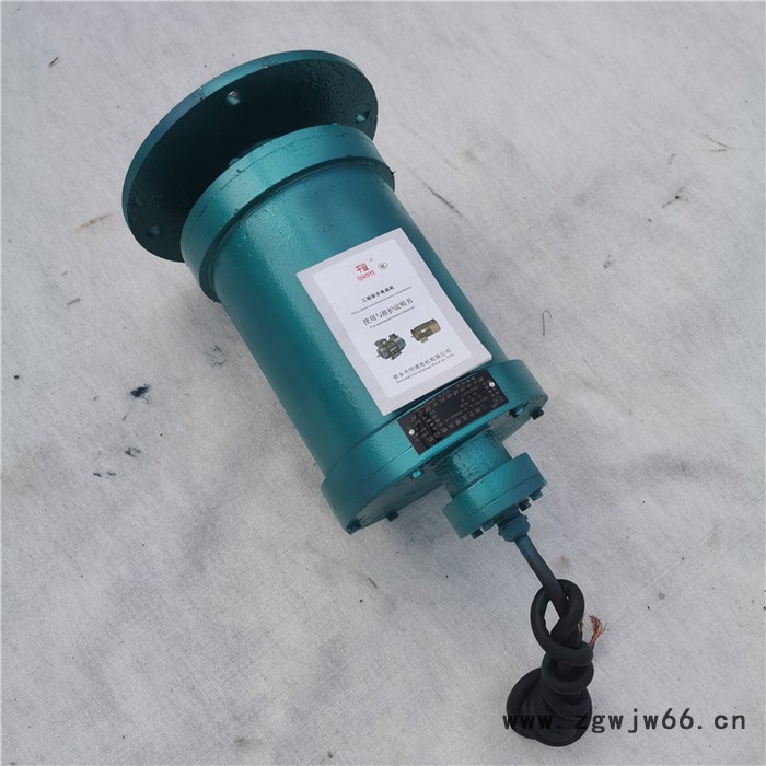 千业牌 潜水电机 水下用电机 污水域用电动机图7