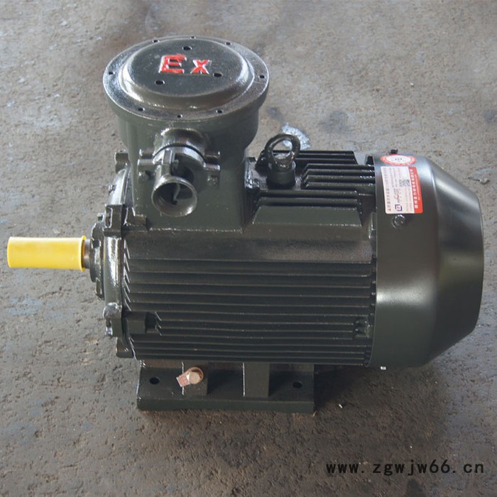 金力特YB200L1-6隔爆型三相异步电动机图4