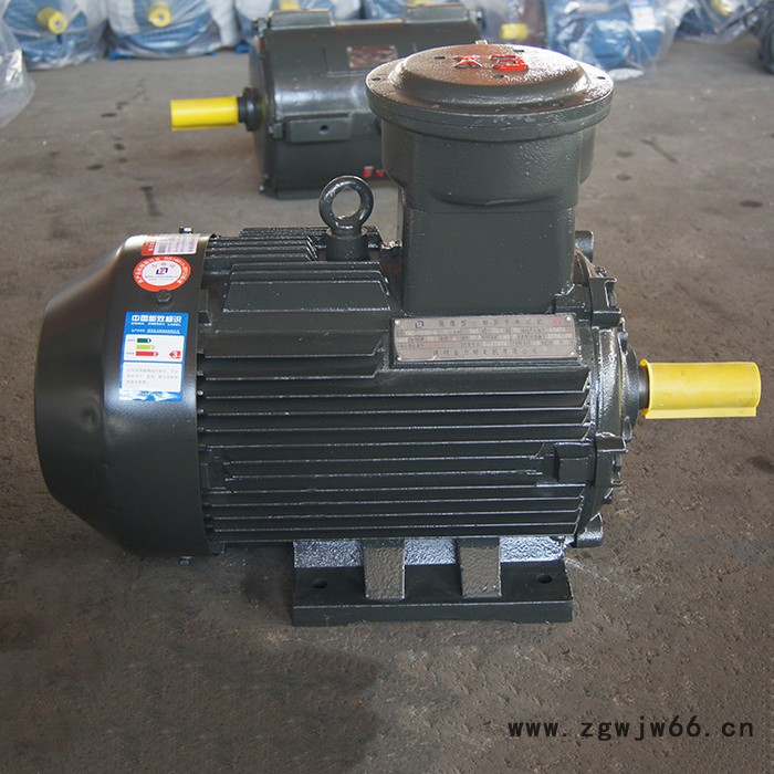金力特YB200L1-6隔爆型三相异步电动机图5