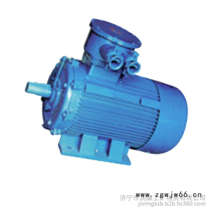 YB2D系列隔爆型变极多速三相异步电动机 隔爆型变极多速三相异步电动机 厂家图3