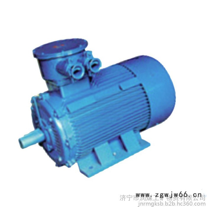 YB2D系列隔爆型变极多速三相异步电动机 隔爆型变极多速三相异步电动机 厂家图7