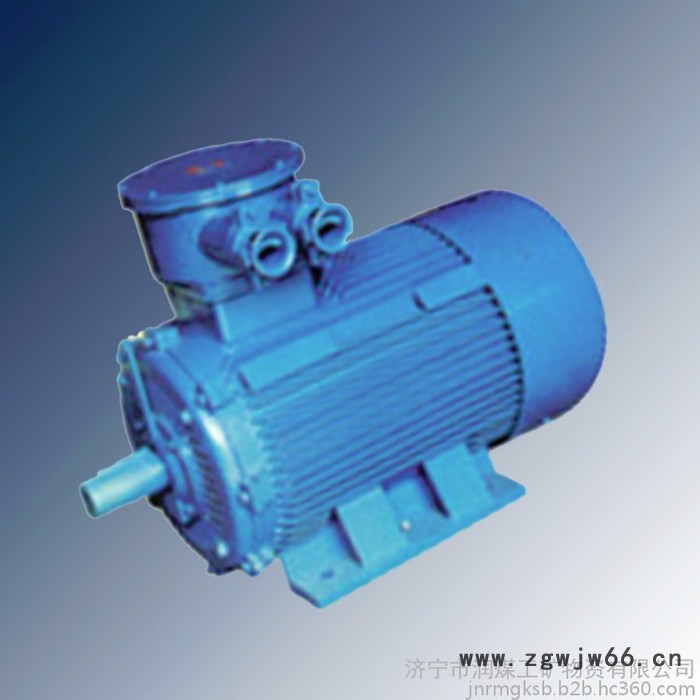 YB2D系列隔爆型变极多速三相异步电动机 隔爆型变极多速三相异步电动机 厂家图6