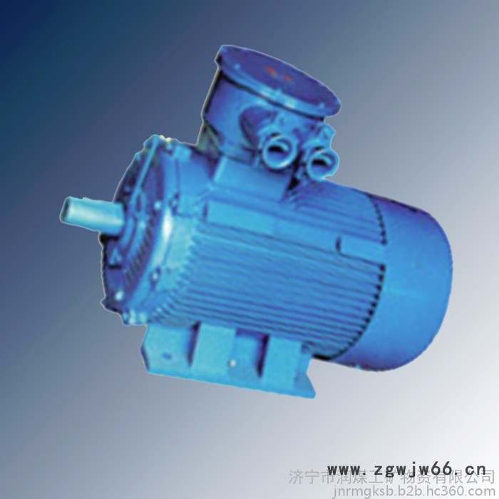 YB2D系列隔爆型变极多速三相异步电动机 隔爆型变极多速三相异步电动机 厂家图5