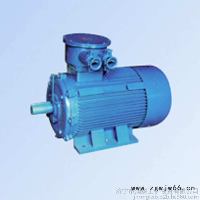 YB2D系列隔爆型变极多速三相异步电动机 隔爆型变极多速三相异步电动机 厂家图4