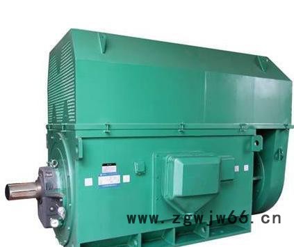 西安电机厂 Y5002-6 560kw/10kV高压三相电动机图2