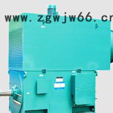 西玛高压电机YKS4005-8 200KW 6KV 740R空水冷高压电动机图2
