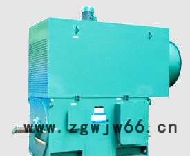 西玛全国电机直YKS6303-2  6KV 三相异步电动机图3