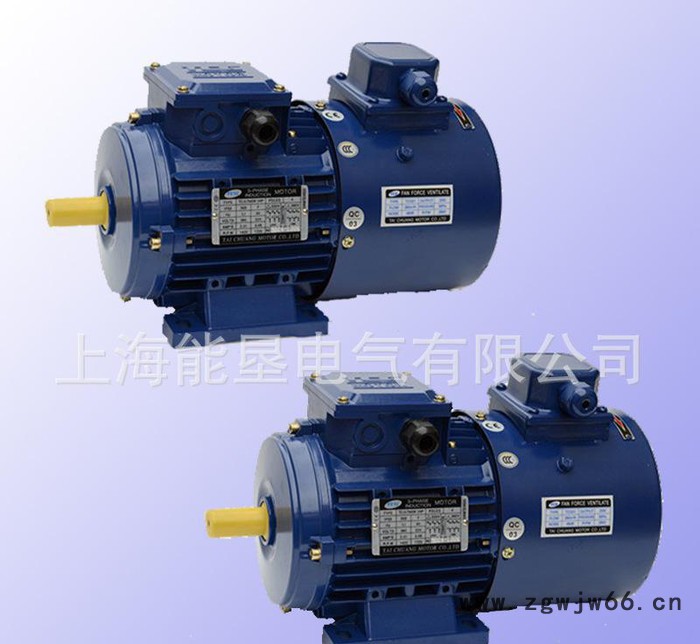 **YVF2-80M1-4 0.55KW铝壳变频调速电动机图3