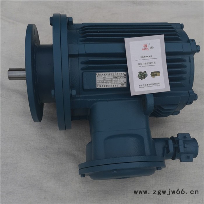 千业牌 高原电机 高原电动机 定制高原地区用电机 质量稳定图4