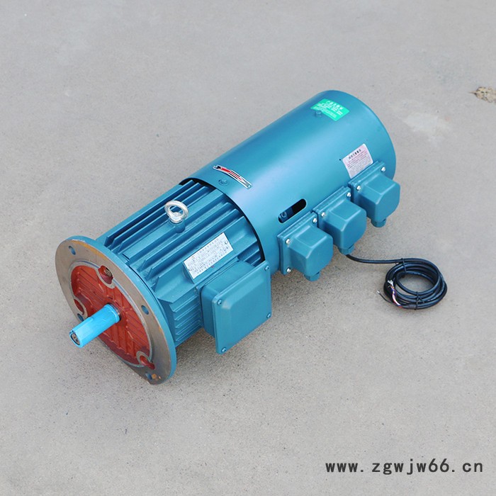 千业牌 高原电机 高原电动机 定制高原地区用电机 质量稳定图7
