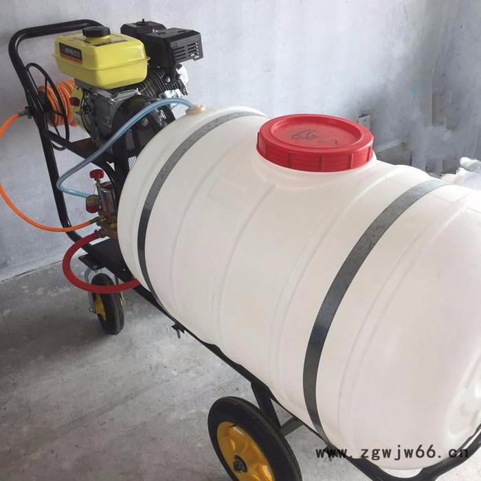 大棚果园喷雾器 惠民牌多喷嘴打药机 喷雾机价格图4