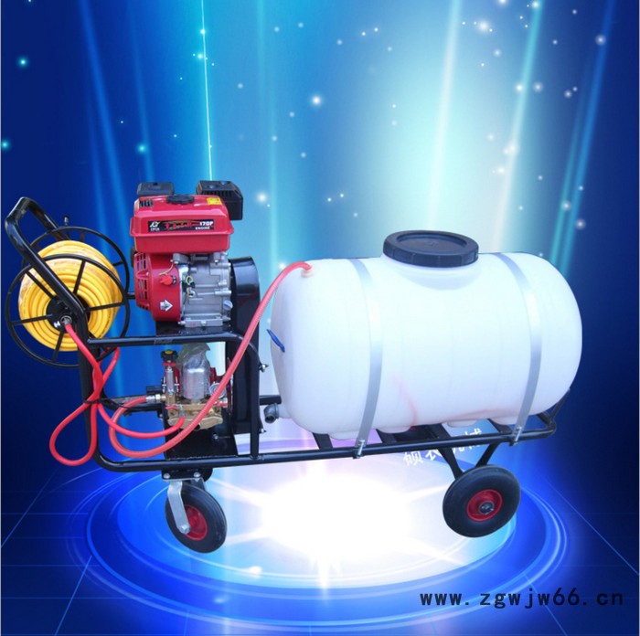 大棚果园喷雾器 惠民牌多喷嘴打药机 喷雾机价格图2