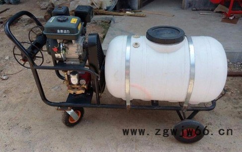 大棚果园喷雾器 惠民牌多喷嘴打药机 喷雾机价格图3