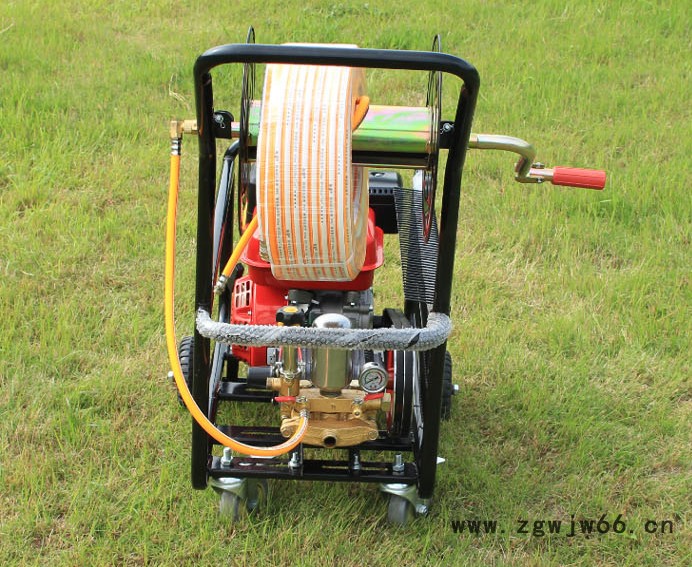 大棚果园喷雾器 惠民牌多喷嘴打药机 喷雾机价格图6