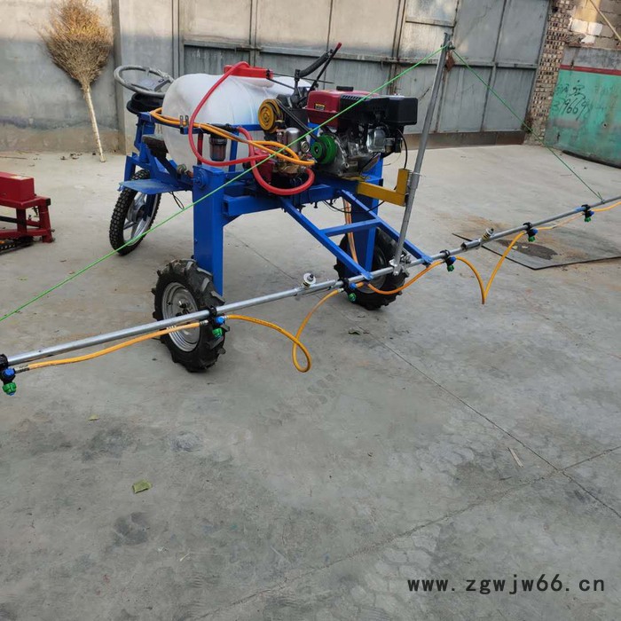 多喷嘴打药机 消毒防疫喷雾器 手推式农用园林打药机富兴图3