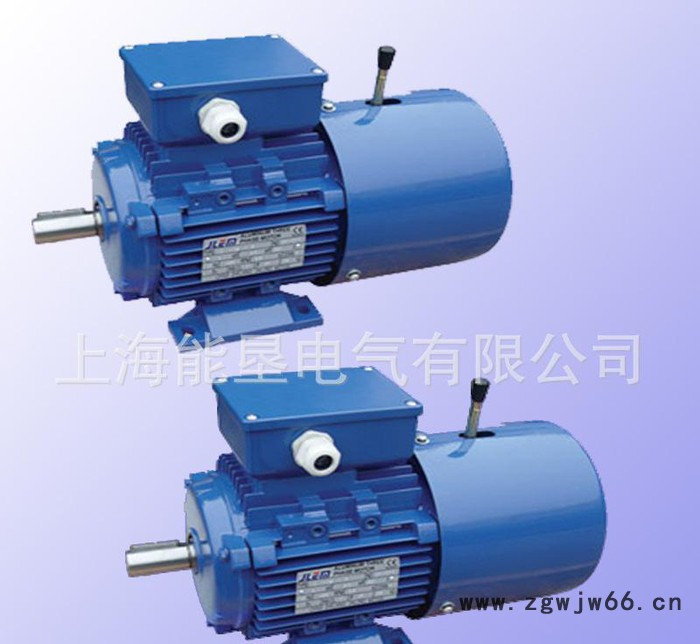 YVPEJ280M-4 90KW变频调速电磁制动电动机图2