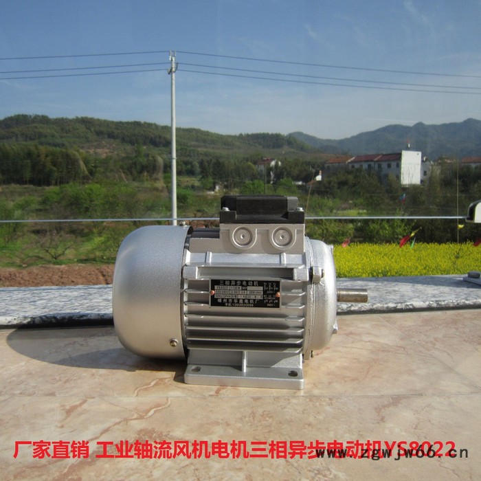 红发YS8022三相异步电动机