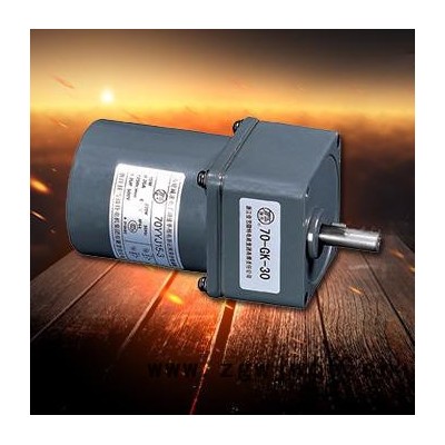 佳雪微特 2齿轮减速异步电动机