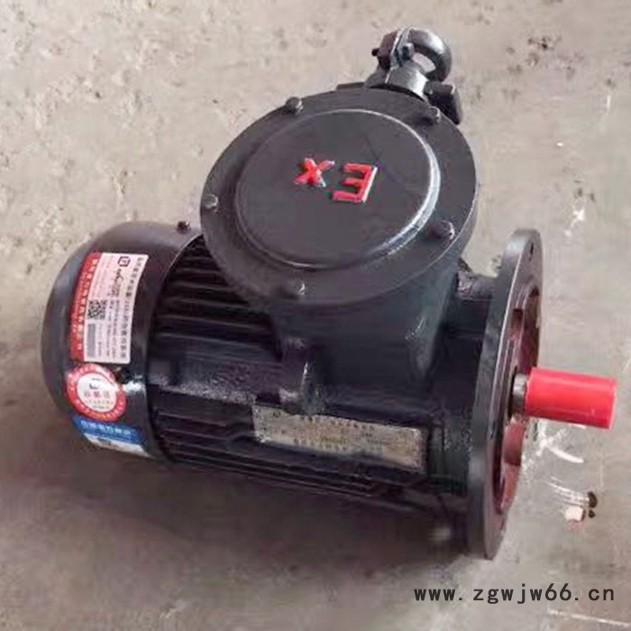 金力特YB250M-2系列隔爆型三相异步电动机图6