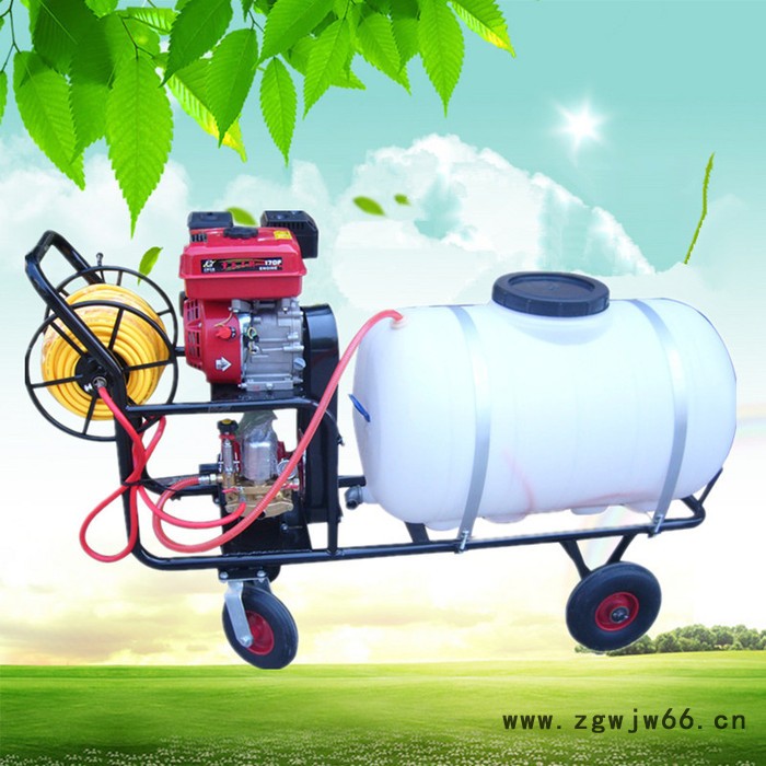 苗圃高压喷雾器价格 多喷嘴打药机 大容量手推式汽油打药机图8