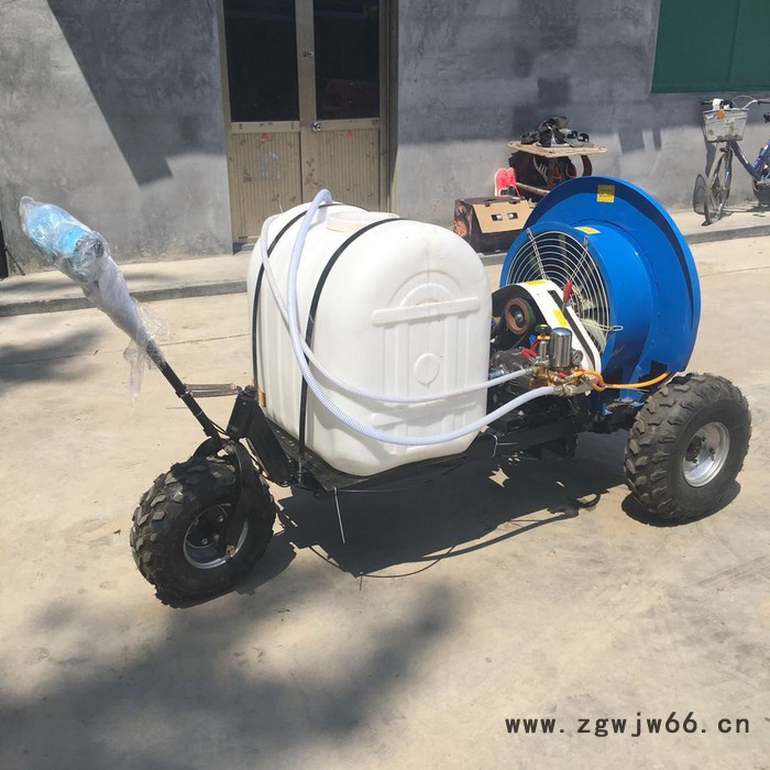 苗圃高压喷雾器价格 多喷嘴打药机 大容量手推式汽油打药机图3