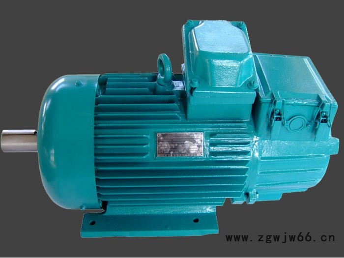 百孚YZR系列  YZR-280S-10 三相异步电动机图2