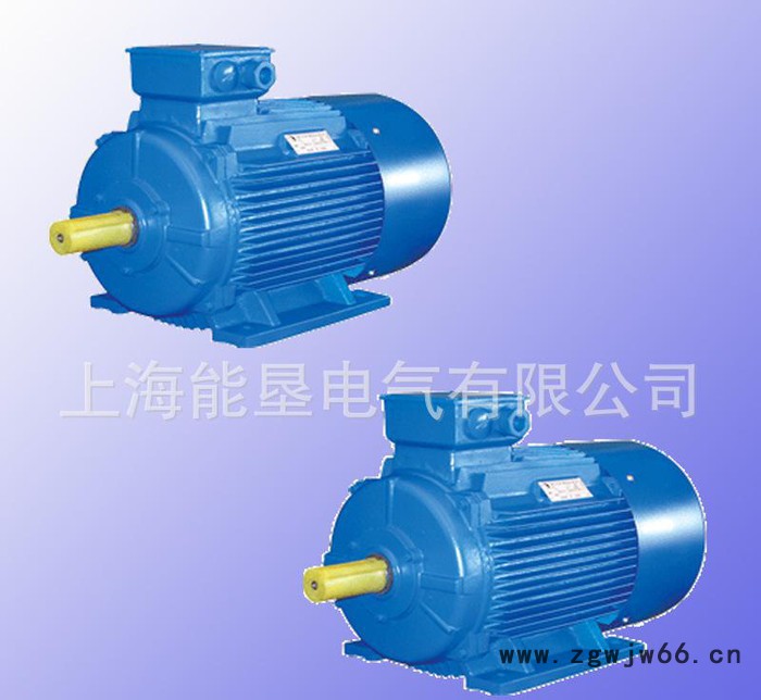特价Y2-315M-6 90KW三相异步卧式电动机图2