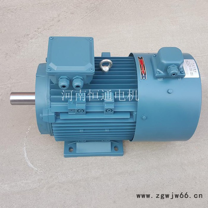 千业 变频电机 定做变频电动机 进口变频调速电机订做 质量可靠图7