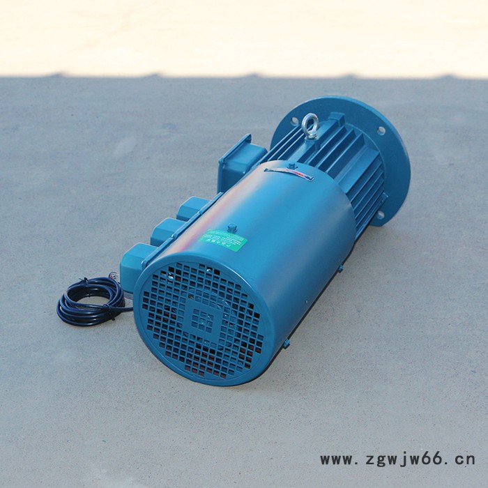 千业 变频电机 定做变频电动机 进口变频调速电机订做 质量可靠图8