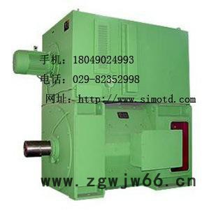 泰富西玛电机直流电动机Z900-3图2