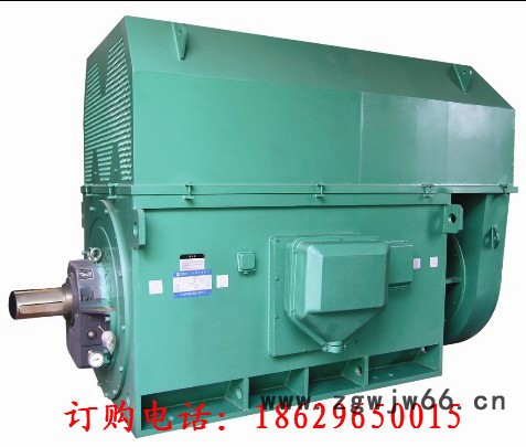 西玛牌Y、YKS系列，10KV/6KV，三相异步电动机 西安西玛图3