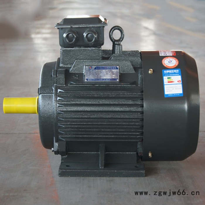 金力特YE2-200L2-6高效节能三相异步电动机图5