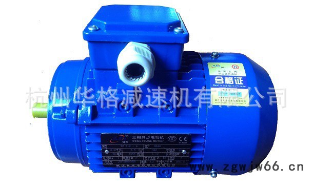 JL100L-2-3KW金龙电机 电动马达铝合金电机三相异步电动机图3