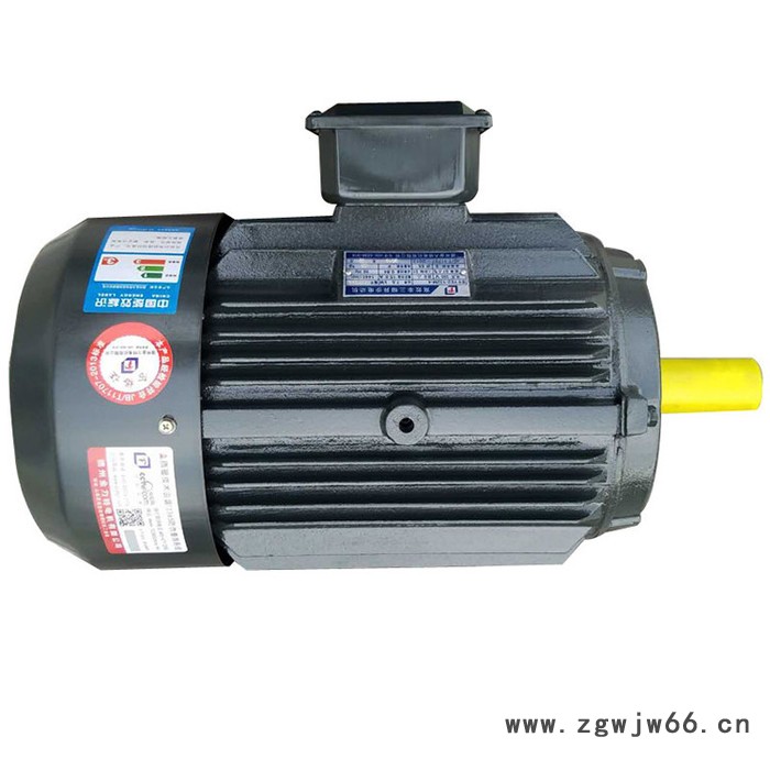 金力特YE2-180L-6高效节能三相异步电动机图2