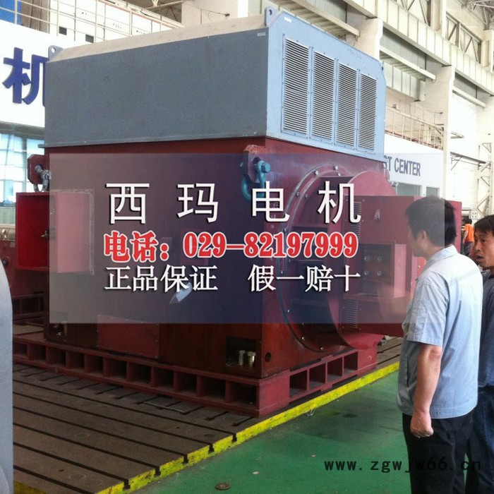 西玛电机YRKK5004-8 500KW 6KV三相异步电动机图4